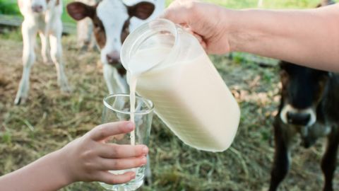 Gripe aviar en EE.UU.: venta de leche cruda va en aumento