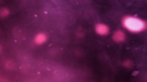 Cada signo, por su personalidad, puede clasificarse por Alfa, Omega o Beta.