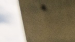 Según la astrología, un signo zodiacal es el que destaca como el mejor amigo.