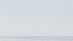 Metrolink ofrece promoción para viajar entre semana durante el verano.