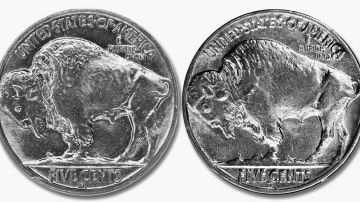 Moneda de búfalo de tres patas