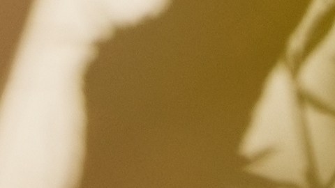 En mayo se abrirá un nuevo capítulo en la vida de algunos signos zodiacales.