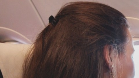 Si viajas con perros a EE.UU. considera las nuevas reglas emitidas por los CDC