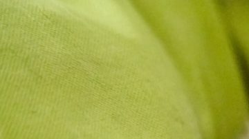 Mujer limpia los ojos de un pug adulto con una toallita especial.