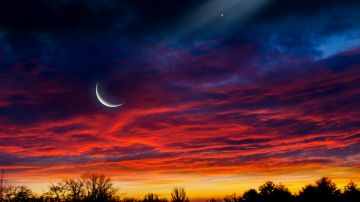 La energía de la luna nueva en Tauro nos ayuda a atraer el amor y la prosperidad.