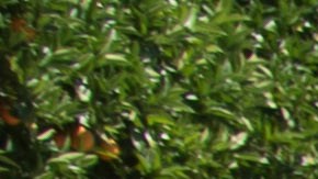 La mayoría de las manifestantes eran mujeres.