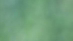 Concepto de jubilación de pensiones y sus beneficiarios.