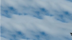 Excursionista de Tennessee se ahogó intentando salvar a una mujer que cayó a un arroyo