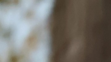 Automóvil en sentido contrario chocó contra una camioneta en Idaho: 6 muertos y 10 heridos