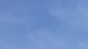 Dos adolescentes de Carolina del sur murieron después de saltar desde un puente por un desafío