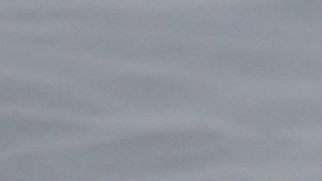 Madre de Michigan murió protegiendo a su hija de un vehículo fuera de control en un evento de carreras