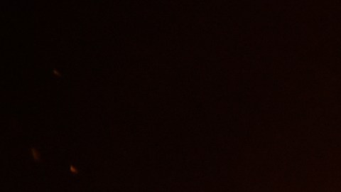 Los bomberos localizaron los cuerpos de la mujer y tres mascotas dentro de la vivienda.
