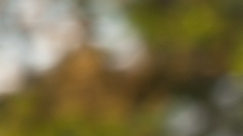 El 18 de mayo todos los signos tendrán suerte, según astrólogos.