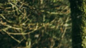 Los hermanos Isaac y Nora quieren grabar algún día en los géneros que les gustan. Foto: Cortesia