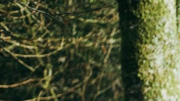 Los hermanos Isaac y Nora quieren grabar algún día en los géneros que les gustan. Foto: Cortesia