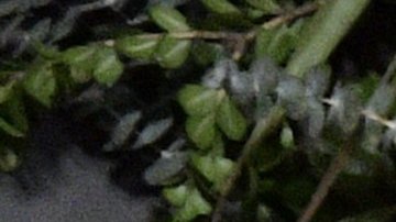 Rafael Amaya le dice "adiós" a la serie "El Señor de los Cielos".