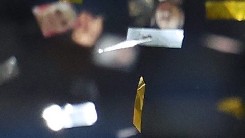London (United Kingdom), 01/06/2024.- Real Madrid head coach Carlo Ancelotti (C) celebrates with the team winning the UEFA Champions League final match of Borussia Dortmund against Real Madrid, in London, Britain, 01 June 2024. (Liga de Campeones, Rusia, Reino Unido, Londres) EFE/EPA/NEIL HALL