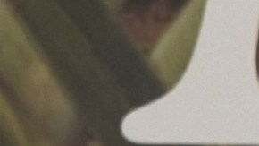 La contundente respuesta de Elizabeth Álvarez a quienes la critican por su peso