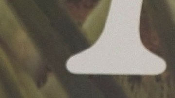 La contundente respuesta de Elizabeth Álvarez a quienes la critican por su peso