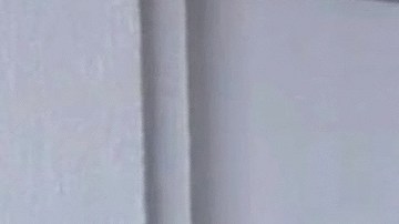 Eduardo Yáñez se pronuncia después de escándalo con la reportera Patricia Cuevas: “Cometí un error”