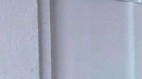 Eduardo Yáñez se pronuncia después de escándalo con la reportera Patricia Cuevas: “Cometí un error”