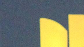 Revelaron detalles sobre el tipo de cáncer padecía Don Omar