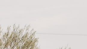 La charrería es una práctica tradicional de México.