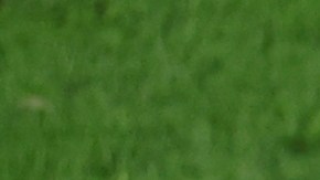 La Selección de Italia comenzó con buen pie la Eurocopa al sumar un triunfo al igual que España con quien está igualada en el Grupo B.