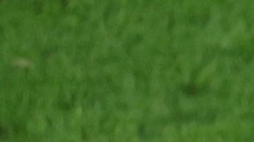 La Selección de Italia comenzó con buen pie la Eurocopa al sumar un triunfo al igual que España con quien está igualada en el Grupo B.