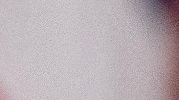 Biden viajará a Francia para conmemorar el aniversario del Desembarco de Normandía.