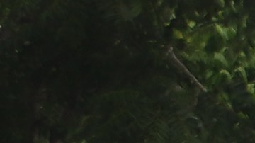 Migrantes y activistas lamentan un "sexenio de la muerte" en México este Día del Refugiado