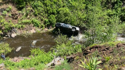 Perro corrió 4 millas para buscar ayuda para un hombre que cayó a un barranco en Oregón