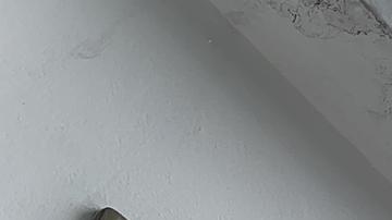 Suiza ejercerá representación diplomática de México en Quito