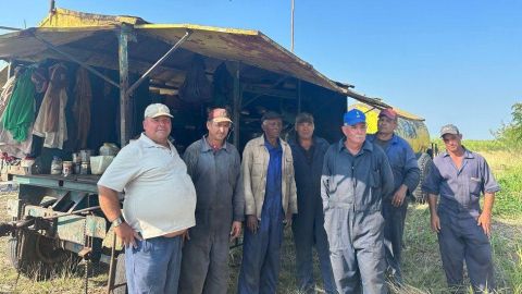 "Sin azúcar no hay país": cómo colapsó el producto más emblemático de la economía de Cuba
