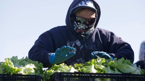 El dicloruro de paraquat podría estar vinculado con el Parkinson.