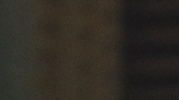 Julio César Chávez Jr.