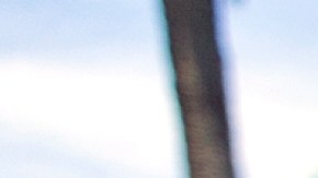 Ice-cream vendor Jose Villa, 65, from Sinaloa, Mexico, cools off on the edge of Echo Park lake in Los Angeles on Saturday, July 8, 2017. An excessive heat wave in Southern California set records in several cities, breaking a mark set for the date in Los Angeles 131 years ago, the National Weather Service said. Around noon, the downtown temp spiked at 96 degrees, topping the 1886 record by a degree. (AP Photo/Damian Dovarganes)