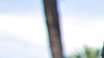Ice-cream vendor Jose Villa, 65, from Sinaloa, Mexico, cools off on the edge of Echo Park lake in Los Angeles on Saturday, July 8, 2017. An excessive heat wave in Southern California set records in several cities, breaking a mark set for the date in Los Angeles 131 years ago, the National Weather Service said. Around noon, the downtown temp spiked at 96 degrees, topping the 1886 record by a degree. (AP Photo/Damian Dovarganes)