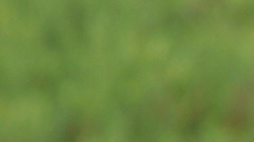 La Policía estatal de Arkansas implementó un operativo debido al tiroteo.