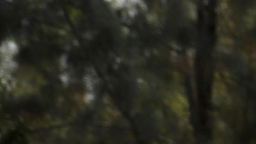 Los inmigrantes enfrentarán más dificultades para intentar cruzar la frontera.