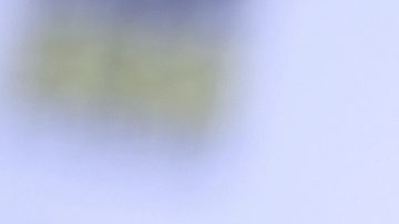 Julio César Chávez