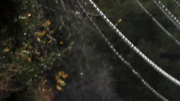 A bulldozer operator begins to clear a car trapped in a deep debris flow that covered parts of Topanga Canyon Boulevard near the village of Topanga west of Los Angeles, Tuesday, Jan. 9, 2017. Multiple people were killed and homes were swept from their foundations as mud and debris from wildfire-scarred hillsides flowed through neighborhoods and onto a key Southern California highway Tuesday during a powerful winter storm that dropped record rain across the state. (AP Photo/Reed Saxon)