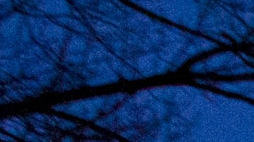 El esfuerzo para proteger a los Dreamers de la deportación no ha avanzado en el Congreso.