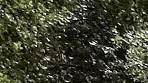 This June 1, 2018 photo released by Cal Fire shows illegal fireworks that were seized in Northern California. Six people have been arrested in what California authorities said Thursday was one of the largest illegal firework operations in state. (Cal Fire via AP)