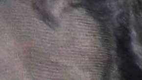 El dólar estadounidense domina a nivel mundial.