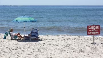 Autoridades alertan por ataques de tiburón en playas de Florida; suman tres heridos hasta el momento