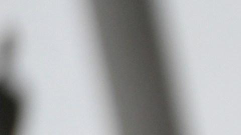 Exclusiva: La actriz Marina de Tavira nos adentra en el mundo de ‘El aroma del pasto recién cortado’