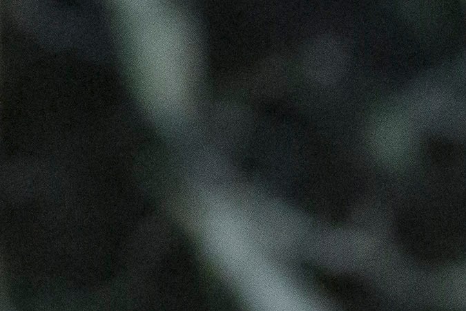 Sheinbaum tiene que prepararse por si gana Trump, señala exembajadora de México en EE.UU., Martha Bárcena