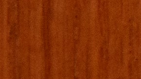 Sello del Departamento de Seguridad Nacional (DHS).