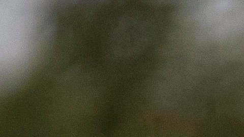 La mayoría de muertes de inmigrantes en custodia de EE.UU. era prevenible, según informe